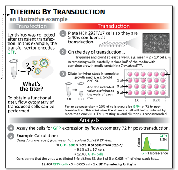 A diagram of a scientific experiment Description automatically generated with medium confidence